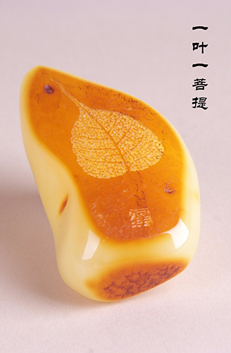 一叶一菩提.JPG