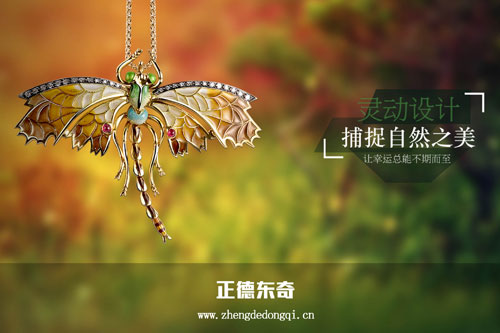 正德东奇——蜻蜓.jpg