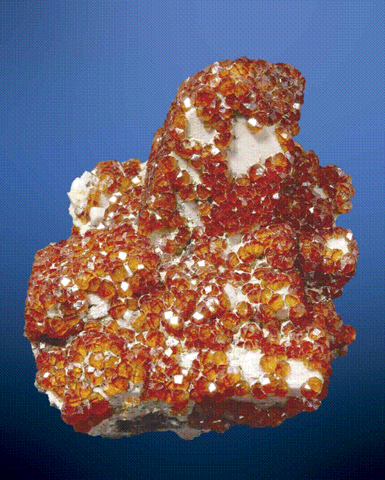image004.gif