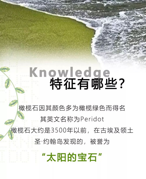 微信图片_20190812163136.jpg