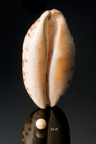 中国珠宝玉石首饰行业协会