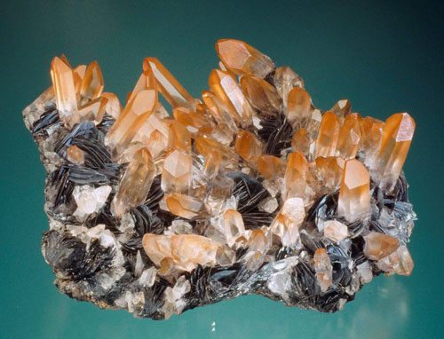 image013.jpg