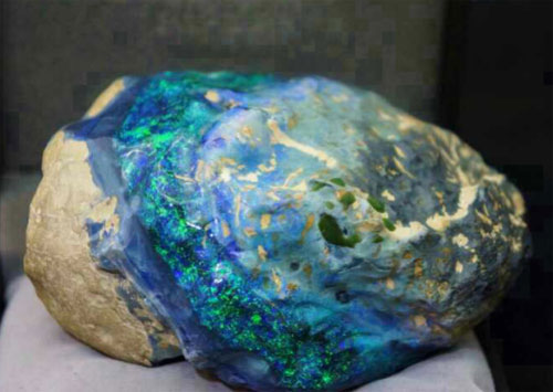 image020.jpg