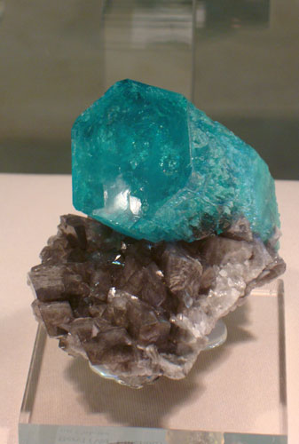 image009.jpg
