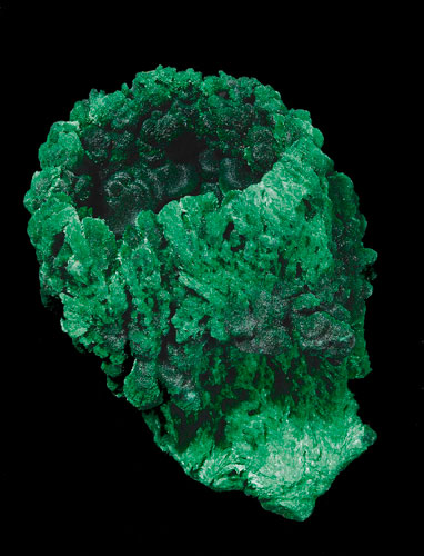 image001.jpg