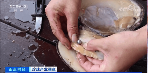 b58f8c5494eef01f3694aa63de925d2dbd317d0c_调整大小.png