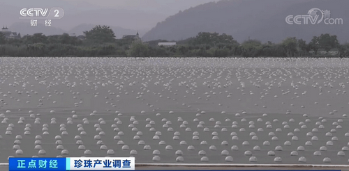00e93901213fb80ecb189f4009bdeb26bb3894d5_调整大小.png