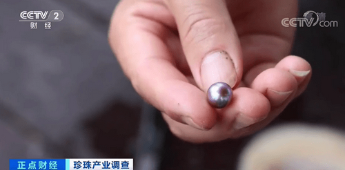 b8389b504fc2d562d5fed580a57d54e777c66c59_调整大小.png